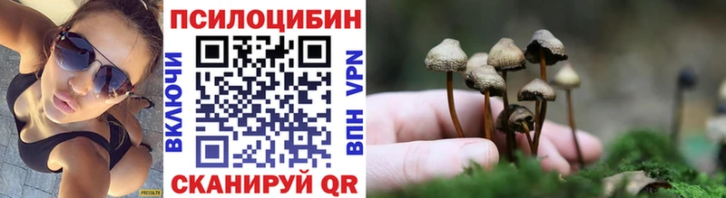 Галлюциногенные грибы Psilocybe  Динская 